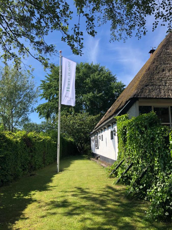 Hoeve Te Gast - Vakantieboerderij Groet Eksteriør bilde