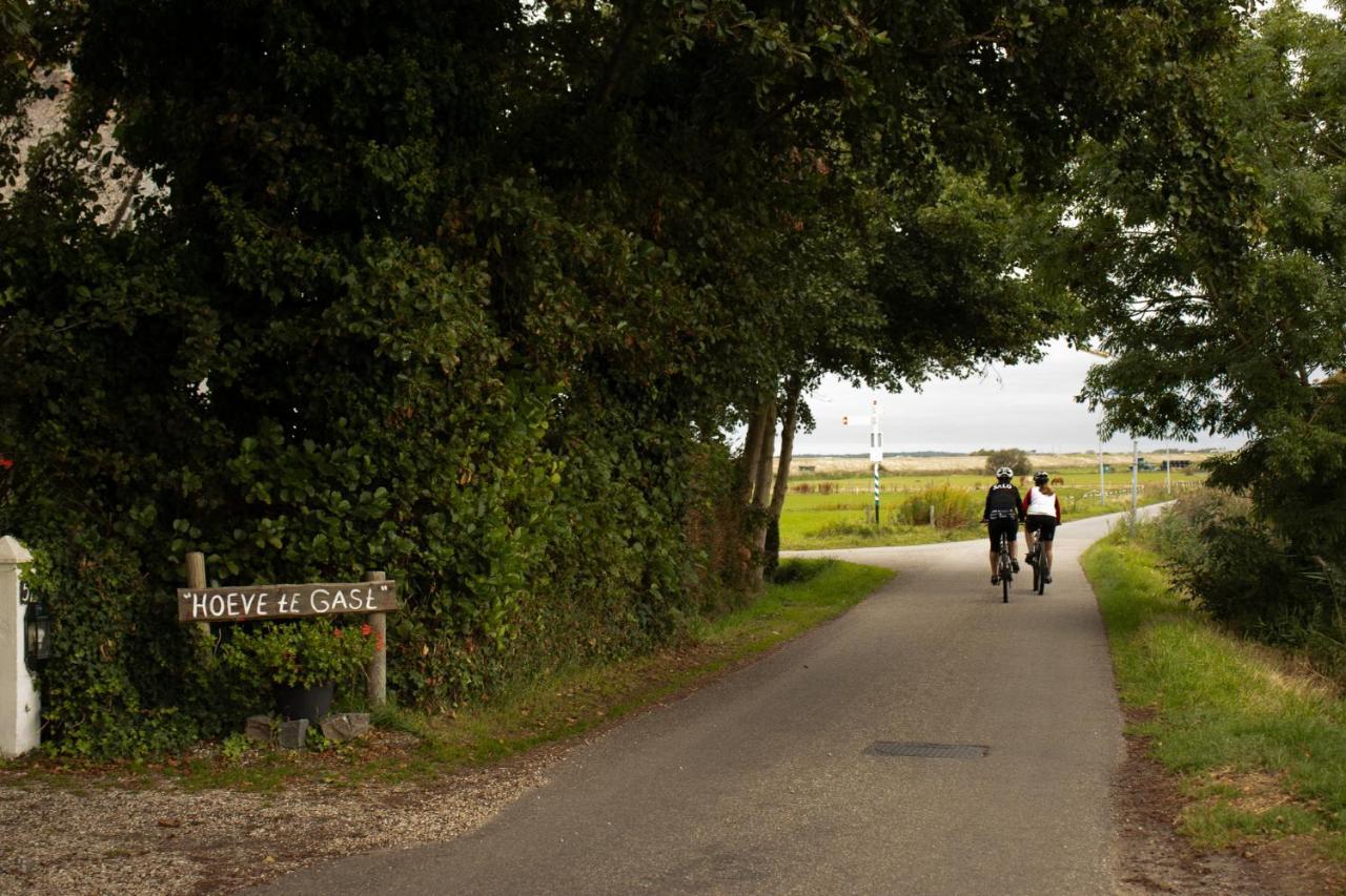 Hoeve Te Gast - Vakantieboerderij Groet Eksteriør bilde